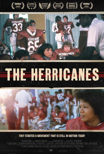 The Herricanes poster