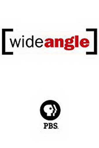 Series poster for Wide Angle (2002)