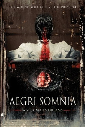 Movie poster for Aegri Somnia (2008)