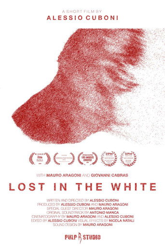 Movie poster for Lost in the White (2017)