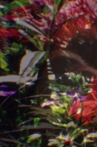 Movie poster for Return to Nature! The True Natural Method of Healing and Living and the True Salvation of the Soul: Paradise Regained—The Core of the Body—Water, Human Curative Power, Light, Air, Earth, Food, Fruit Culture (2012)