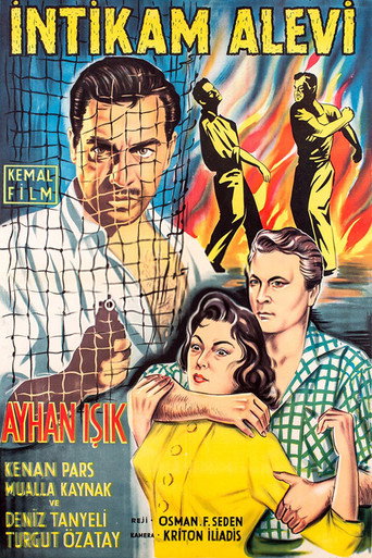 Movie poster for İntikam Alevi (1956)