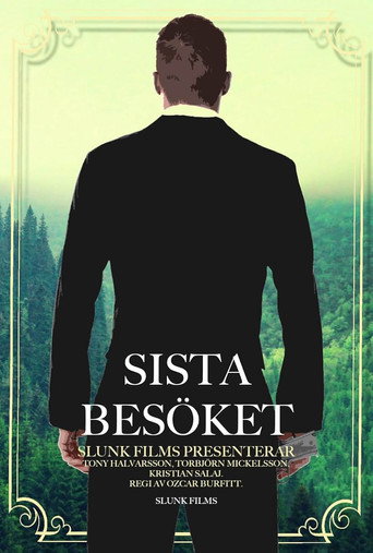 Movie poster for Last Visit (2014)