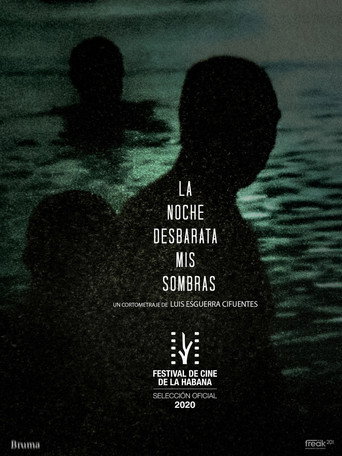 Movie poster for La Noche Desbarata mis Sombras (2020)
