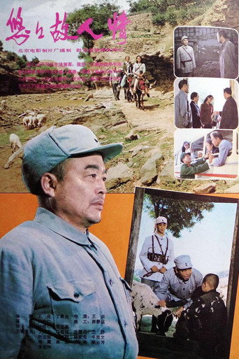 悠悠故人情 poster