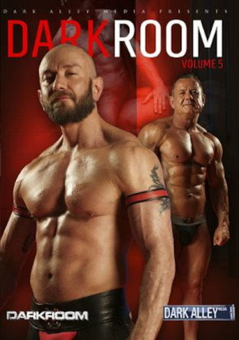 Movie poster for DarkRoom 5 (2013)