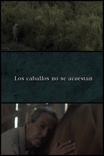 Movie poster for Horses Don’t Lie Down (2024)