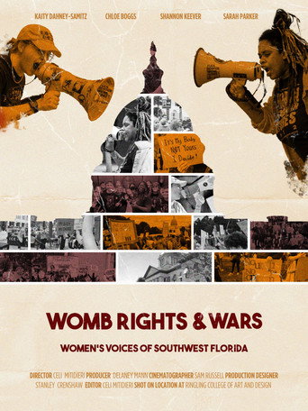 Movie poster for Womb Rights & Wars (2024)