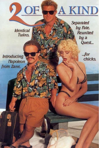 Movie poster for 2 of a Kind (1991)