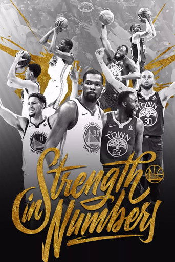 金州勇士夺冠之路 poster