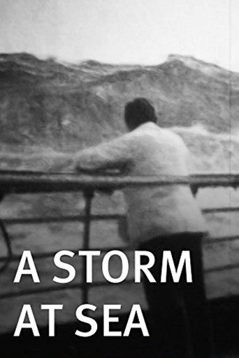 Movie poster for A Storm at Sea (1900)