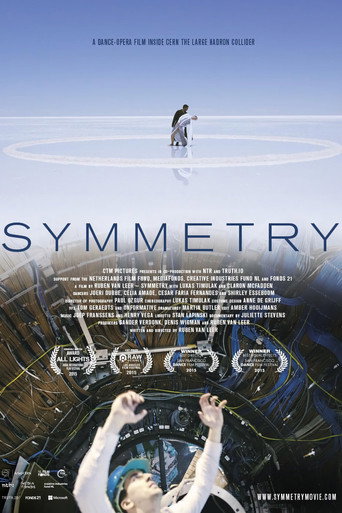 Movie poster for Symmetry (2015)