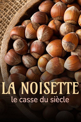 Movie poster for La noisette : le casse du siècle (2023)