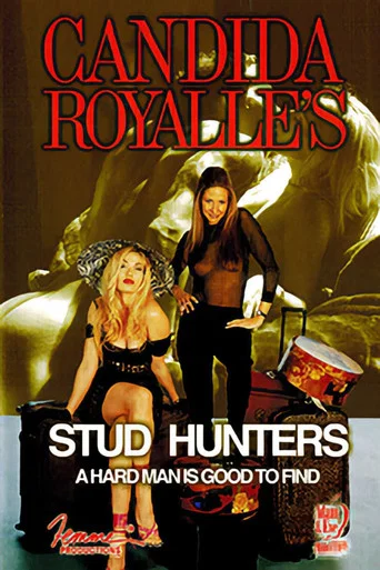 Movie poster for Stud Hunters (2003)