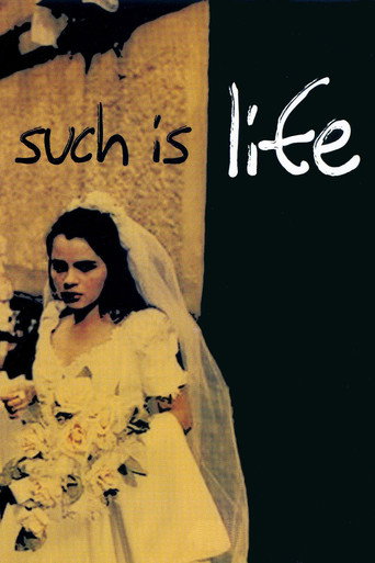 Movie poster for Such is Life (2001)