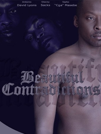Movie poster for Beautiful Contradictions (2009)