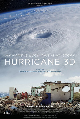 Movie poster for Hurricane, a wind odyssey (2016)