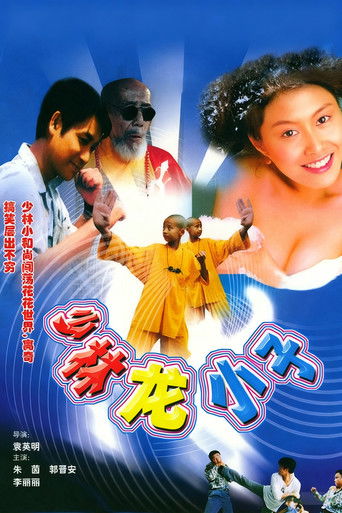 Shaolin Kung Fu Kids poster
