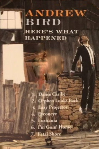 Movie poster for Andrew Bird: Here's What Happened (2012)