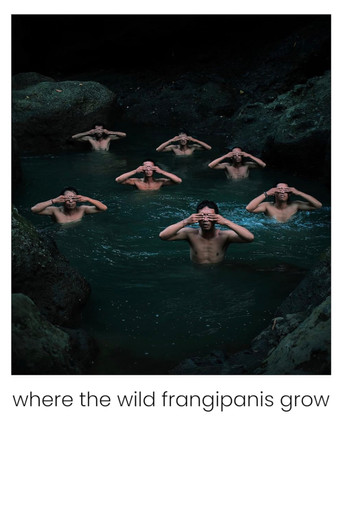 Where the Wild Frangipanis Grow poster