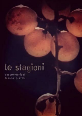 Movie poster for The Seasons (1961)
