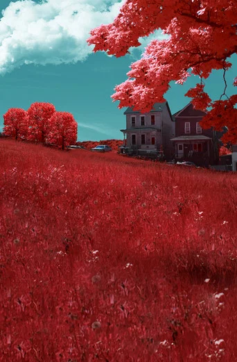 Movie poster for Braddock, PA (2018)
