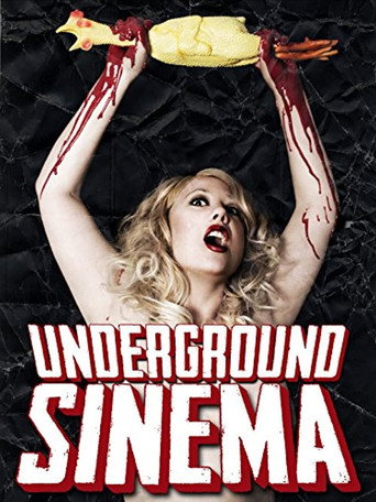 Movie poster for The Underground Sinema (2015)