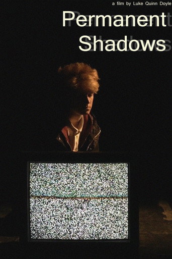 Movie poster for Permanent Shadows (2017)