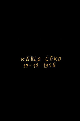 Movie poster for Karlo Čeko, Strasbourg Saint-Denis, Paris (2022)