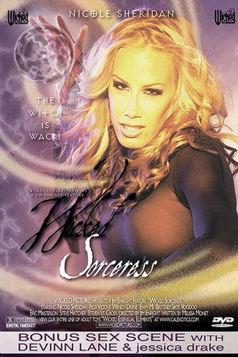 Movie poster for Wicked Sorceress (2004)