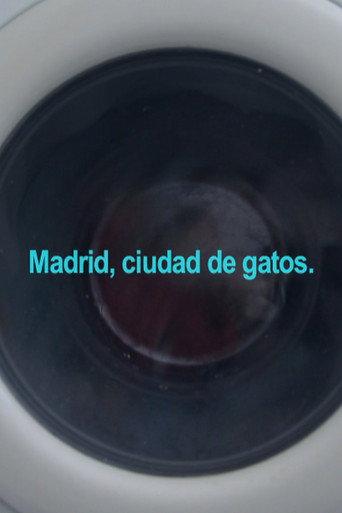 Movie poster for Madrid, City of Cats (2020)