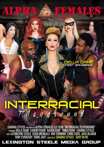 Movie poster for Interracial Playground (2018)