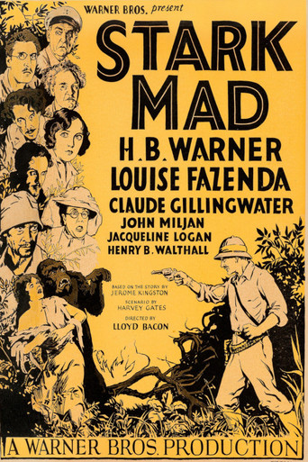 Movie poster for Stark Mad (1929)