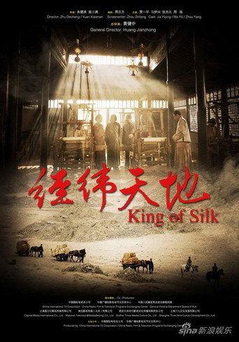 Series poster for 经纬天地 (2010)