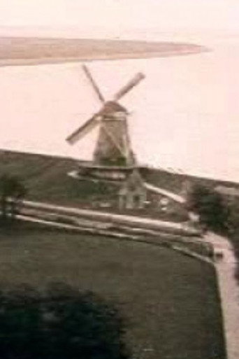 Movie poster for Medemblik (1920)