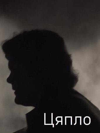 Movie poster for Warmth (2012)