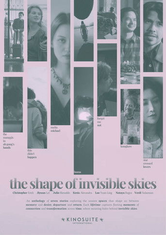 The Shape of Invisible Skies poster