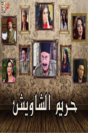 حريم الشاويش poster