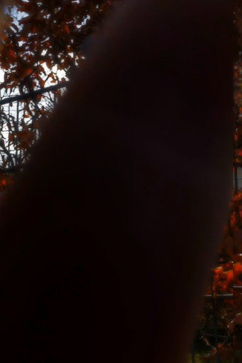 Movie poster for Winter for Rose (2021)