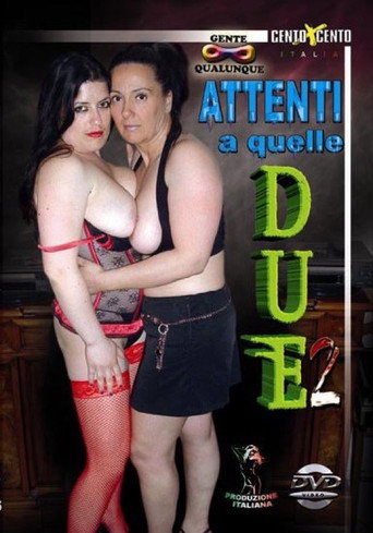 Movie poster for Attenti a quelle due 2 (2011)