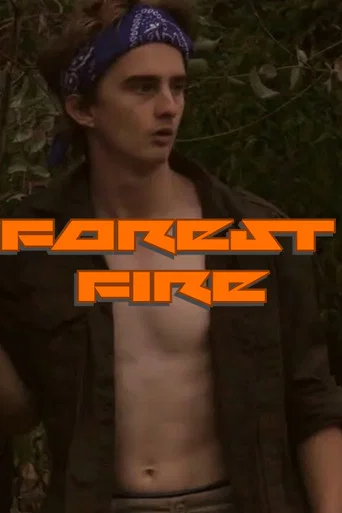 Movie poster for Forest Fire (2022)