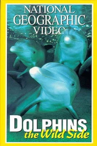 Movie poster for Dolphins: The Wild Side (1999)