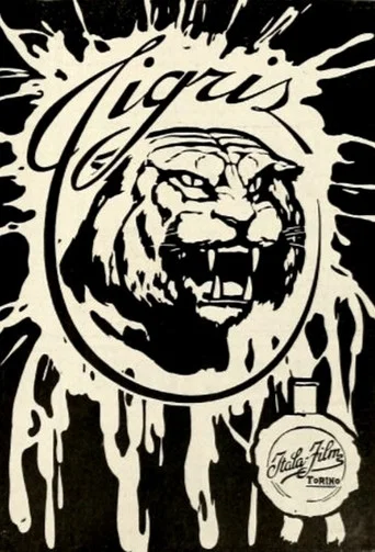 Movie poster for Tigris (1913)