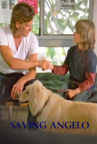 Movie poster for Saving Angelo (2007)