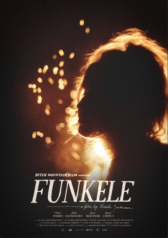 Movie poster for Funkele (2021)