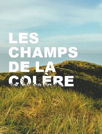 Les Champs de la colère poster