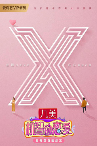 The Secret X poster
