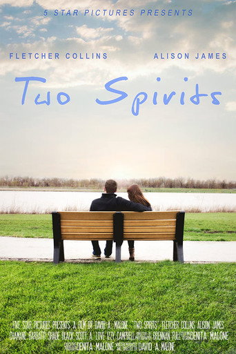 Movie poster for Two Spirits (2018)