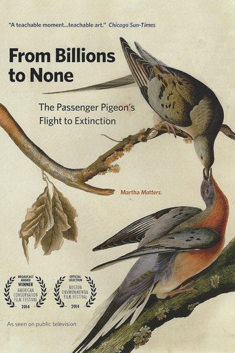 Movie poster for From Billions to None: The Passenger Pigeon's Flight to Extinction (2014)