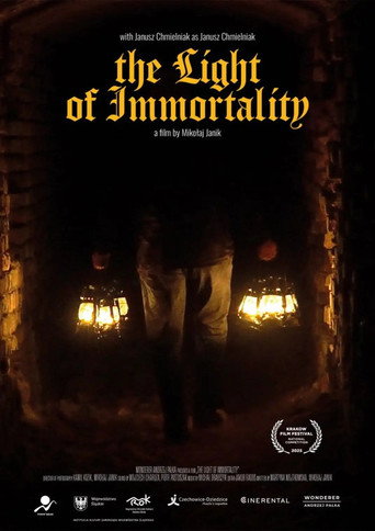 Movie poster for The Light of Immortality (2025)
